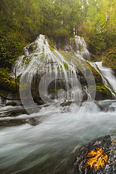 Panther Creek Falls in Fall Season WA USA