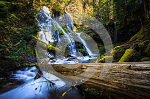 Panther Creek Falls Lower View, Washington State