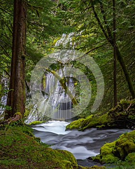 Panther Creek Falls