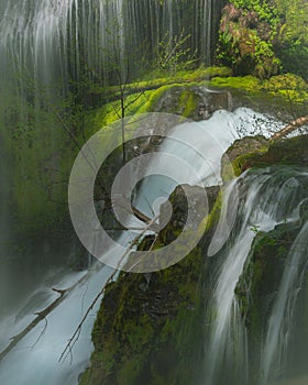 Panther Creek Falls in Washington State