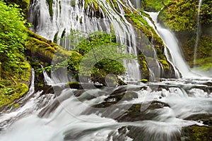 Panther Creek Falls in Washington State photo