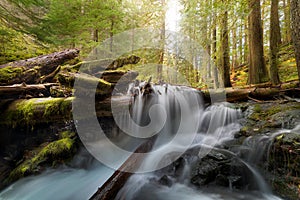 Panther Creek in Gifford Pinchot National Forest