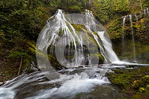 Panther Creek in Gifford Pinchot National Forest photo