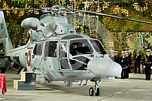 Panther helicopters