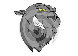 Panther Mascot