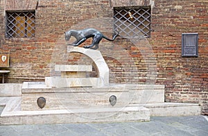 Panther monument at the contrada border, Siena, Tuscany, Italy