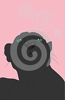 Panther portrait vector illustration on bright background