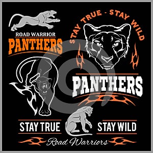 Panther Sport t-shirt graphics, Vintage Apparel typography, Artwork stamp print design, wild big cat head.