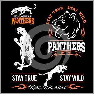 Panther Sport t-shirt graphics, Vintage Apparel typography, Artwork stamp print design, wild big cat head.