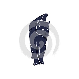 Panther vector illustration design. Panther logo design Template
