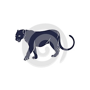 Panther vector illustration design. Panther logo design Template