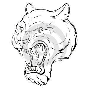 Panther. Vector illustration of a sketch angry wild animal. Undomestic big cat. Leopard or jaguar