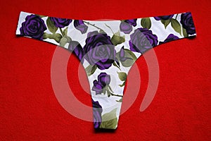 Panties flower printed, blue roses on white red background