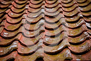 Pantiles on a roof