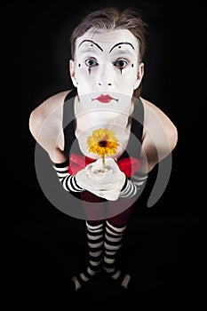 Pantomime actor in with yellow gerberas