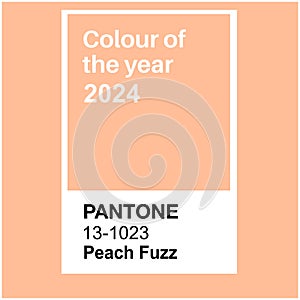 Pantone Peach Fuzz Trending Color of the Year 2024