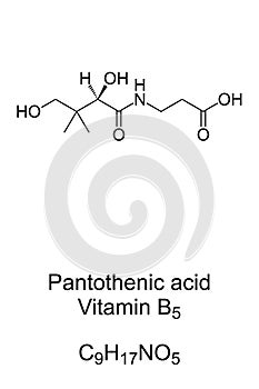 Pantothenic acid vitamin B5 chemical formula and skeletal structure