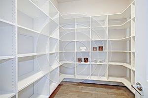 Pantry interior with empty shelves in a new home