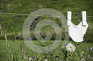 Pants drying on clothesline