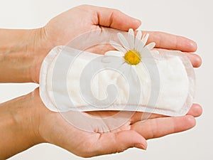 Panty liner and daisy flower on the female palms