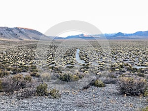 Panum Crater Trail Road View