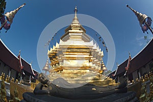 Panya Tharonusorn Pagoda or golden pagoda at Wat Pa Pathomchai in Thailand.