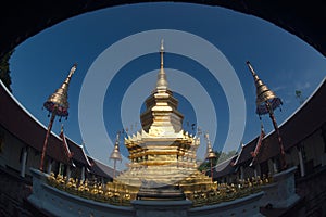 Panya Tharonusorn Pagoda or golden pagoda at Wat Pa Pathomchai in Thailand.