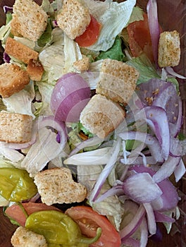 Panzanella Italian Salad