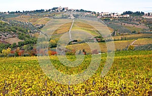 Panzano & Autumn Colours in Chianti Countryside