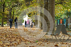 Paople in the park in autumn