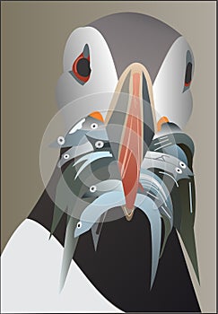 Papageitaucher catch a fish