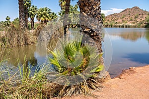 Papago Park in Phoenix Arizona, America, USA.