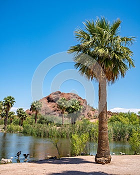 Papago Park in Phoenix Arizona, America, USA.