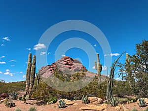 Papago Park in Scottsdale, Phoenix, Arizona,USA.