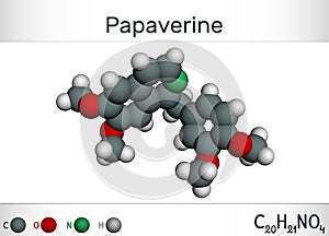 Papaverine molecule. It is opium alkaloid antispasmodic drug. Molecule model