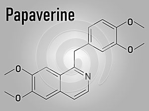 Papaverine opium alkaloid molecule. Used as antispasmodic drug. Skeletal formula. photo