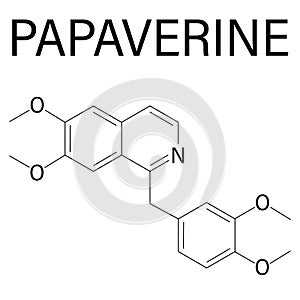 Papaverine opium alkaloid molecule. Used as antispasmodic drug. Skeletal formula. photo