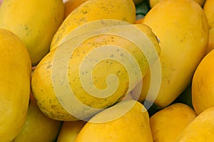 Papaya