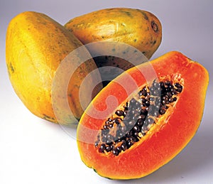 Papaya