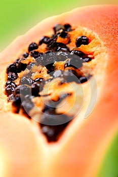 Papaya