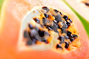 Papaya