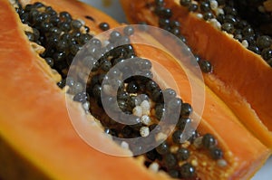 Papaya