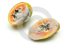 Papaya