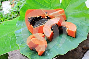 Papaya