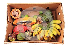 Papaya annona bannana dragonfruit