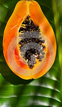 Papaya Exotic fruit background. Papaya orange fresh fruit on tropical leaf green background