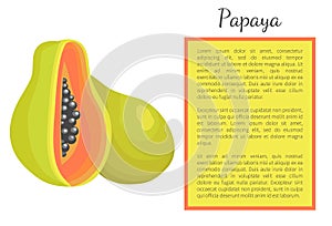 Papaya Exotic Fruit Vector Poster. Papaw Pawpaw photo