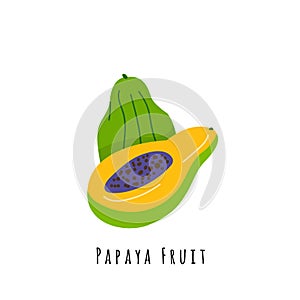 Papaya fruit flat vector illustration