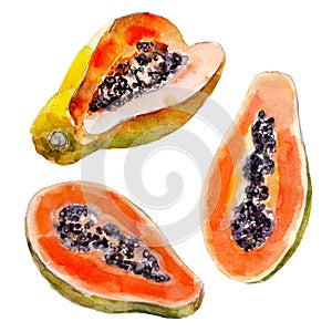 Papaya fruit isolated on white background, watercolor illustration.