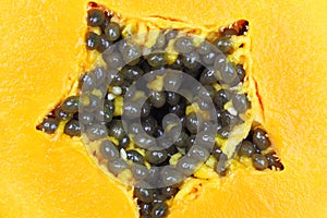 Sliced pawpaw macro, fruit kernels in yellow flesh photo